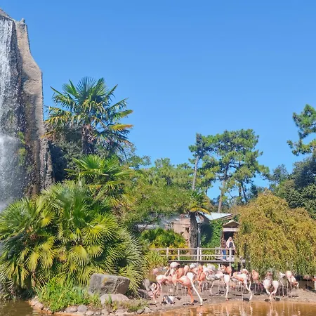 Proche Апартаменты *